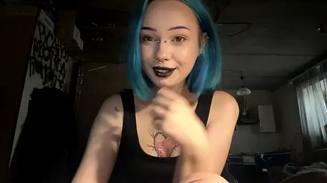 AnnieTouch webcam