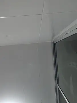 ERIS666 webcam