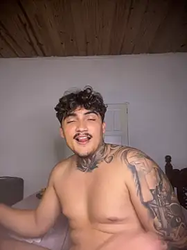 picasso_25CM webcam