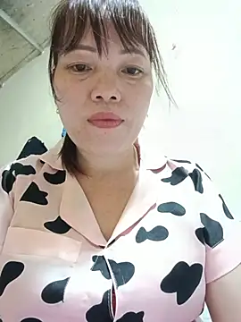 Sana-vn webcam