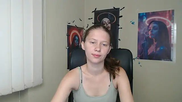 StellaCRL webcam