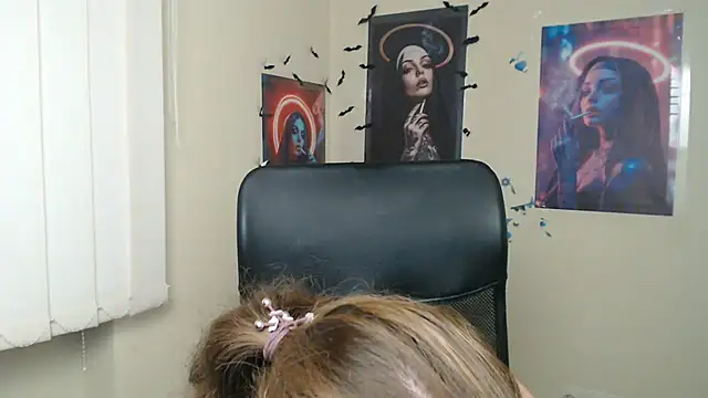 StellaCRL webcam