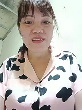 Sana-vn webcam