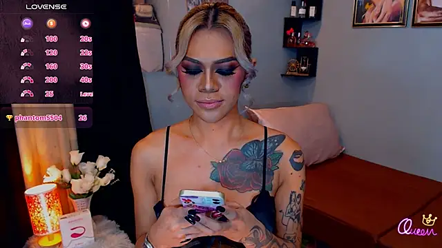 StellaStrong30 webcam
