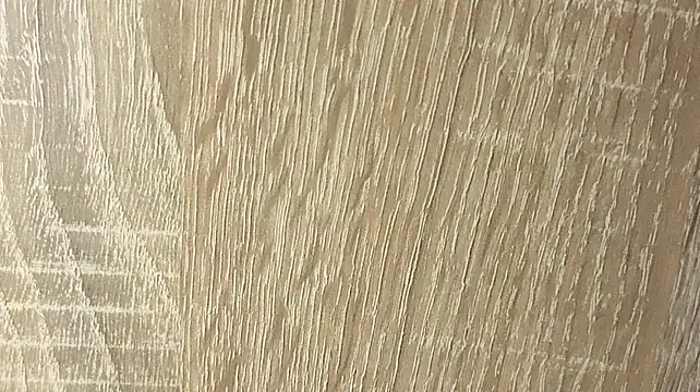 NoFace_Model webcam