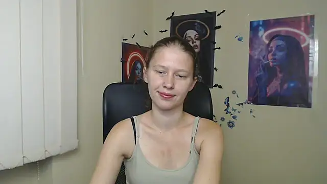 StellaCRL webcam