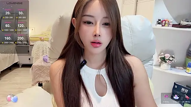 HH-1 webcam