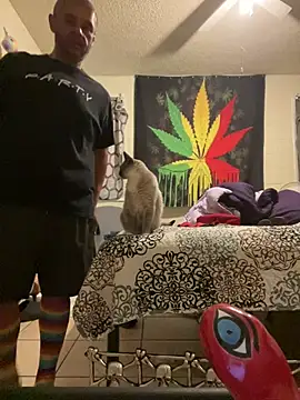 NiftyCaptain3 webcam