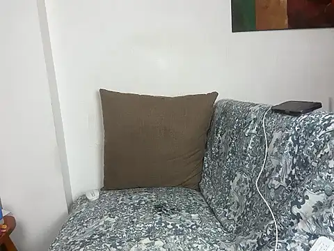 velvetvista webcam