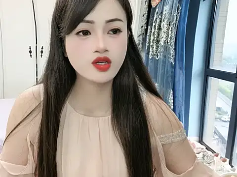 sjsibi webcam