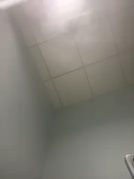 niuxige001