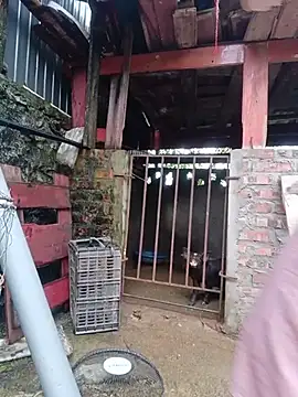 Linda-yiyi