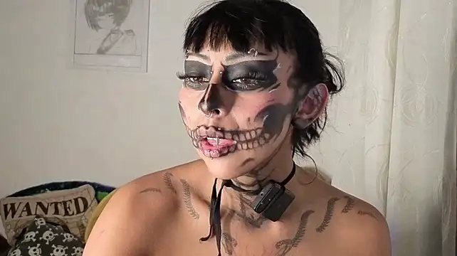 verho_vlaad webcam