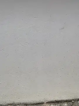 Hot_stuff-z webcam