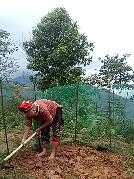 BigAss-Vietnames webcam