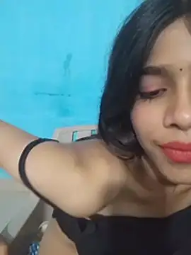 HIE-JANVI webcam