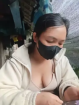 Hiha-nn webcam