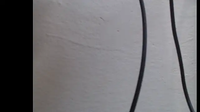 tuttiluss44 webcam