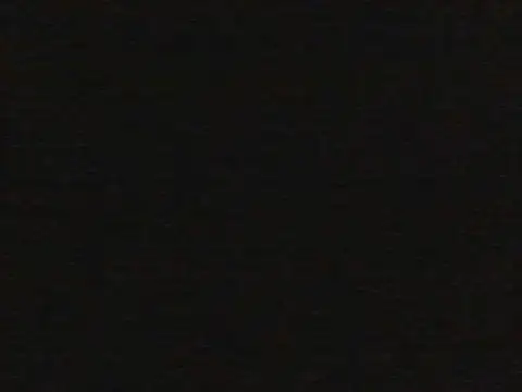 shugabaibe webcam
