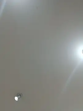 Laurinhasafad webcam