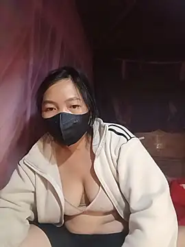 Hiha-nn webcam