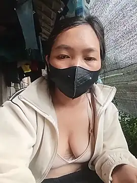 Hiha-nn webcam