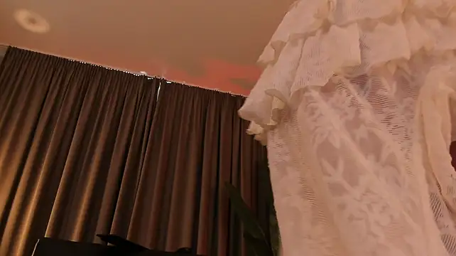 torri_kitten webcam