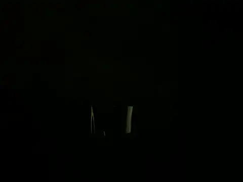 idodpalace webcam