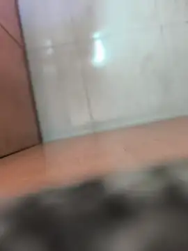 soyyoelque4 webcam