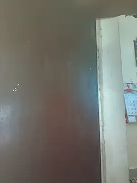 sreemamitha9 webcam