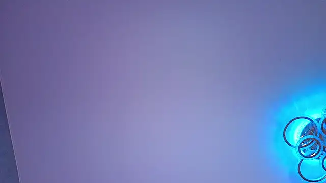 PerryKitty webcam