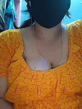 diptidey webcam