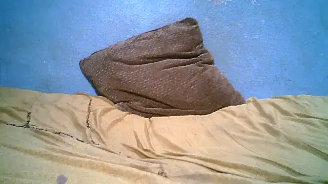 little__joy webcam