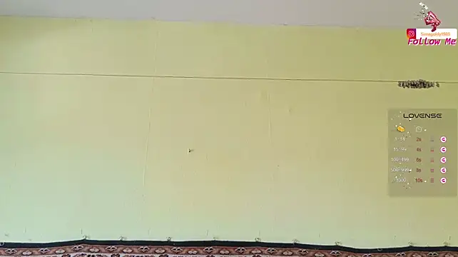 SimaGoldy webcam