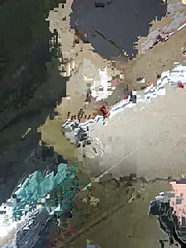 adas- webcam