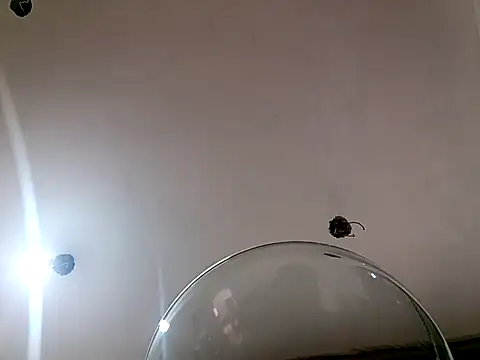 xandra252 webcam
