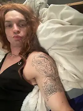 AshtonChicken webcam