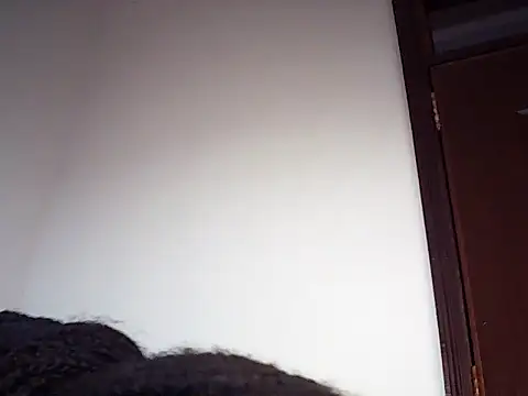 PreggoBeauty