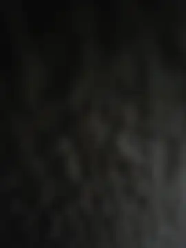 BiBi0089 webcam