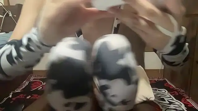 nihs1 webcam