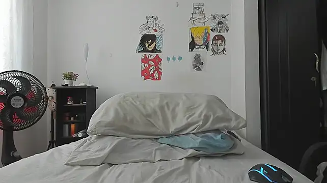 SonSett webcam