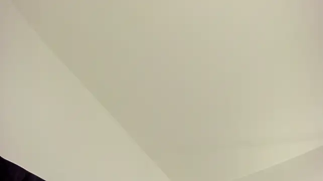 PandoraB_