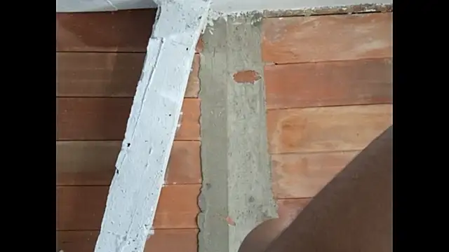Cataleya_ja webcam