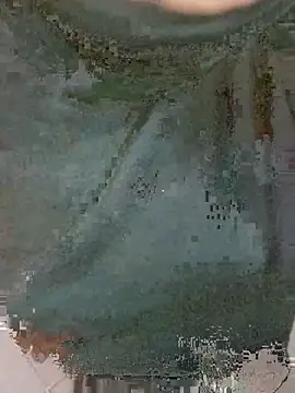shanjidao live cam preview