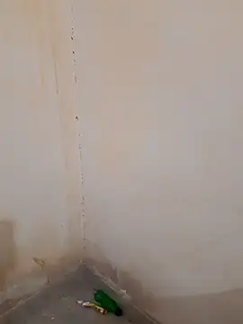 Navya6879 webcam