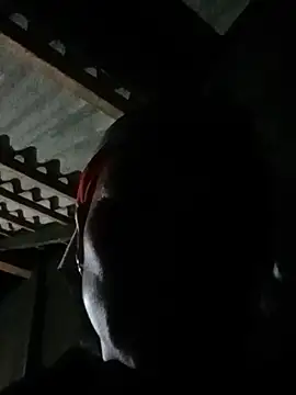 Lily_sexxy4233