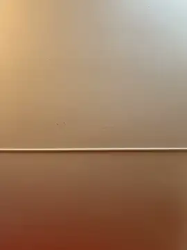 Mike_savage3