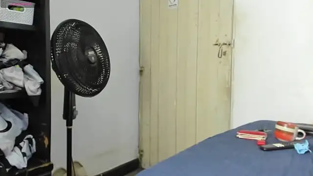Lara_vela