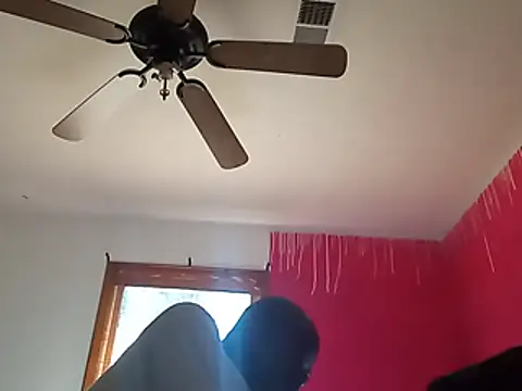 Blkstylion webcam