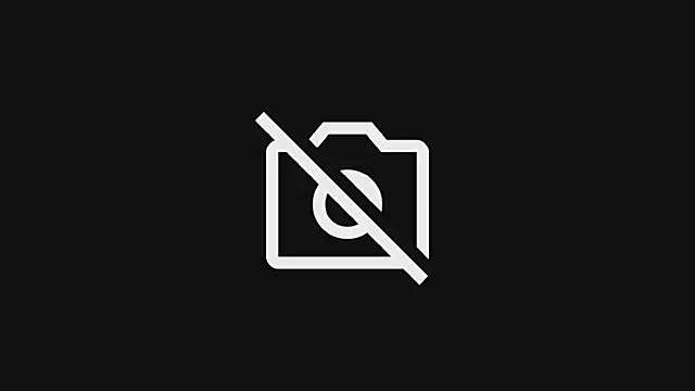 DxnkeyDxng webcam